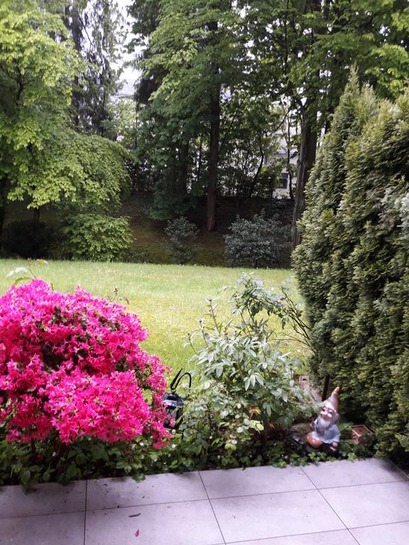 Apartment Near Villa Turgenev Baden-Baden Esterno foto